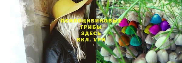 индика Беломорск