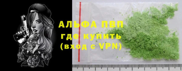 индика Беломорск