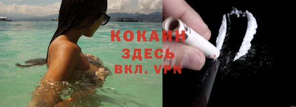 индика Беломорск