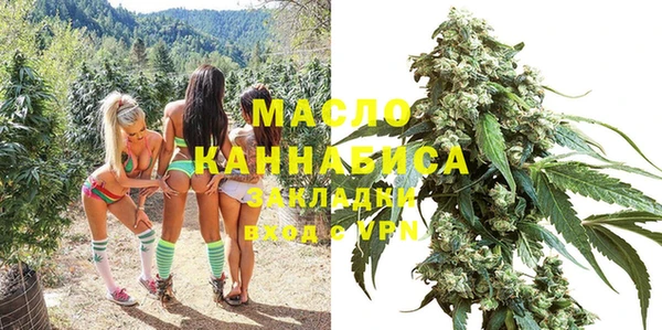 индика Беломорск