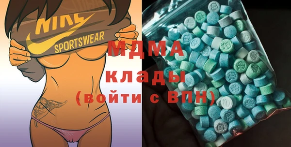 индика Беломорск
