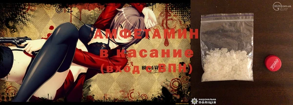 индика Беломорск