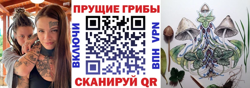 Галлюциногенные грибы Cubensis  купить наркотики сайты  Лабинск 